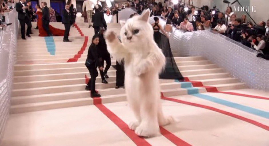 scubaryan_'s tweet photo. met gala has slowly turned into who can wear the worst looking outfit competition https://t.co/zYI7I9O3oz