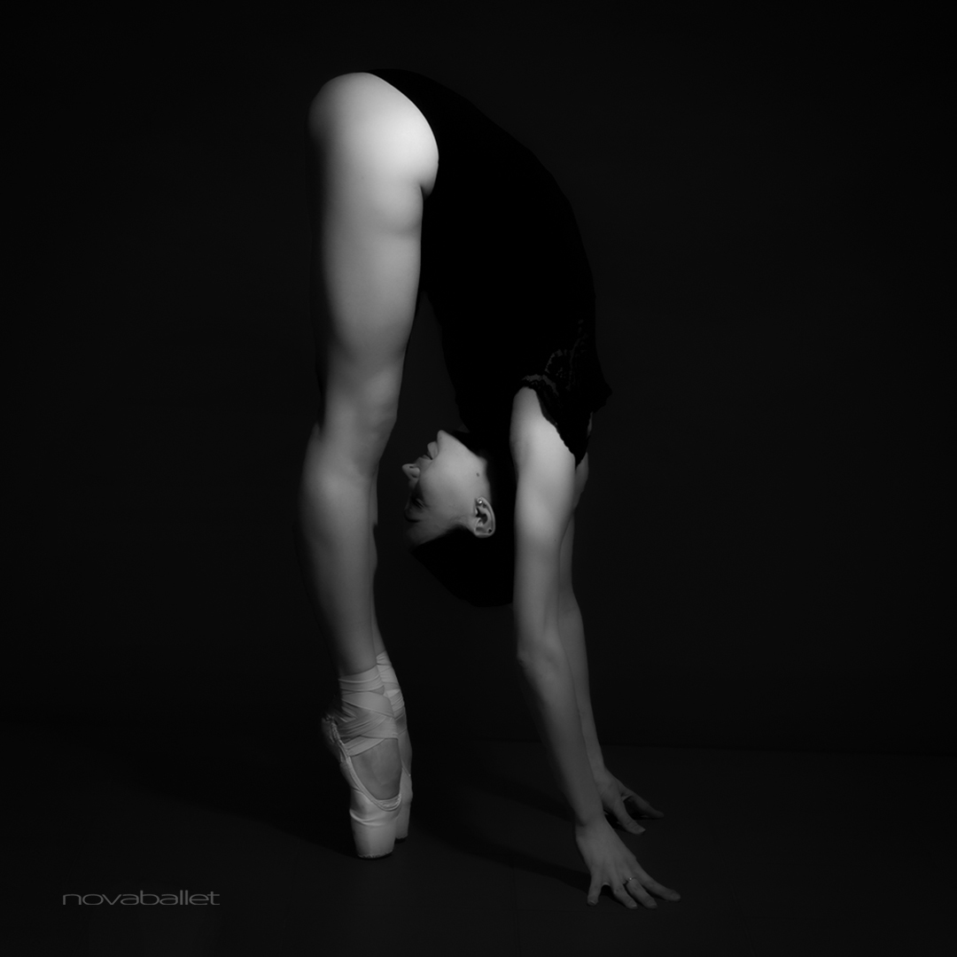 novaballet tweet media