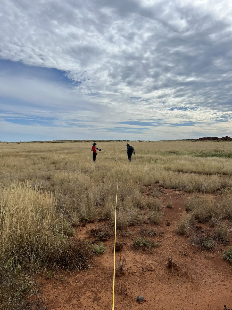 crar_m's tweet photo. Dating Murujuga’s Dreaming now underway - starting with Kaitlin Sullivan’s Honours research project on a clay pan in the north of the archipelago https://t.co/1ntQArNkme