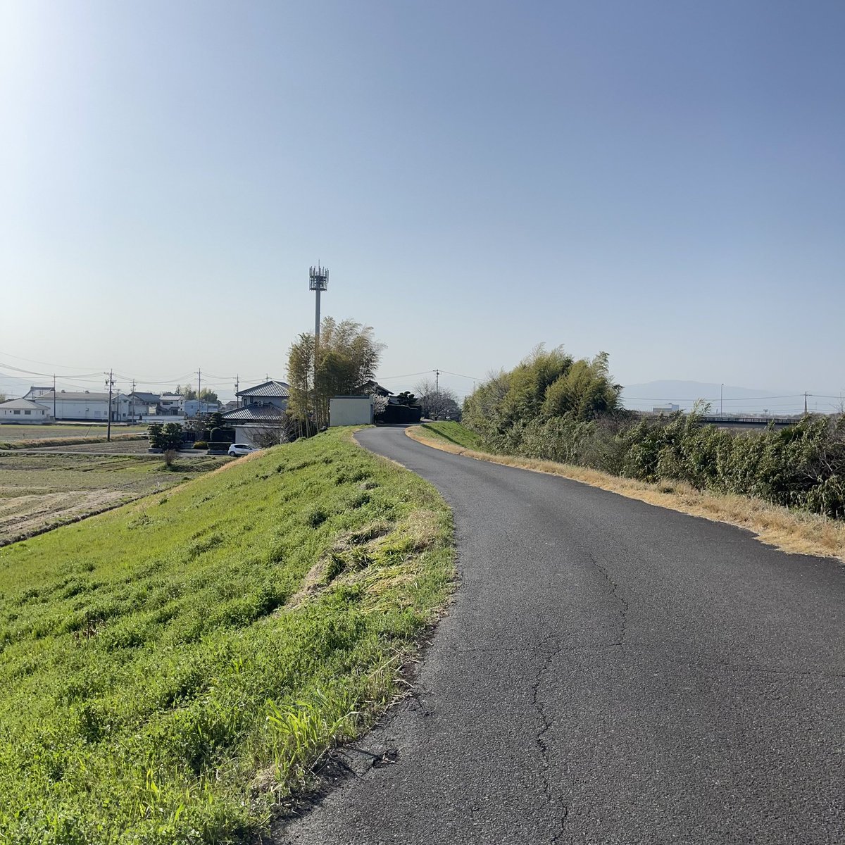 delightgoodsjp's tweet photo. 3月11日に、#美濃路 #起宿 〜 #墨俣宿 を自転車で。#坂井の道標と辻地蔵 から堤防上に上がると、車1台分くらいの幅の緩やかに曲がりくねった、ひなびた道に出た。大好物です。こういう道を歩いているだけで幸せな気持ちになってしまうんだよねぇ。
#西小熊一里塚 https://t.co/gOlgRIv1ae