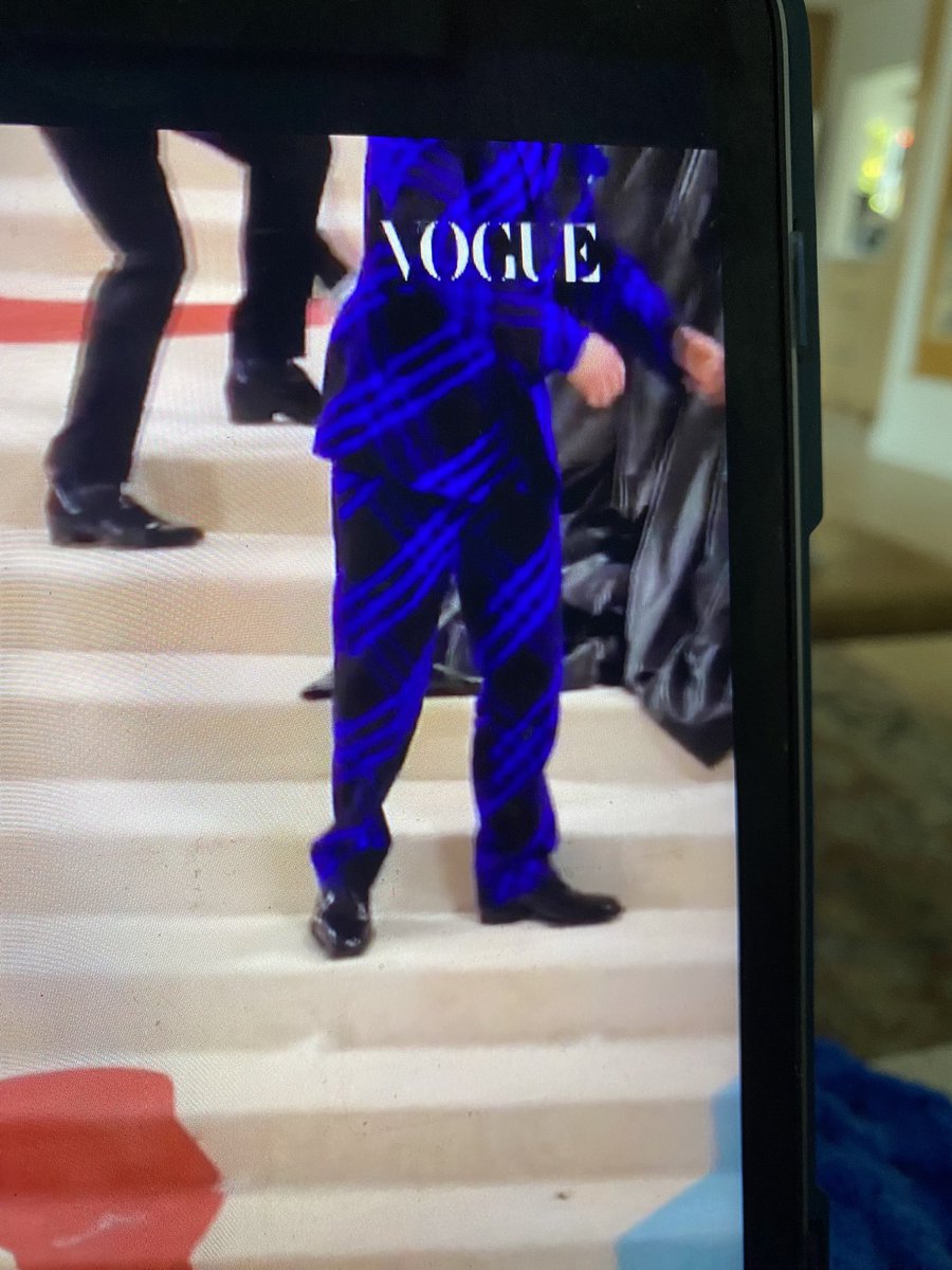 VNixie's tweet photo. I need to see this more. Who dis?! My color! #MetGala  #MetGala2023 https://t.co/Du3aUu3I9l