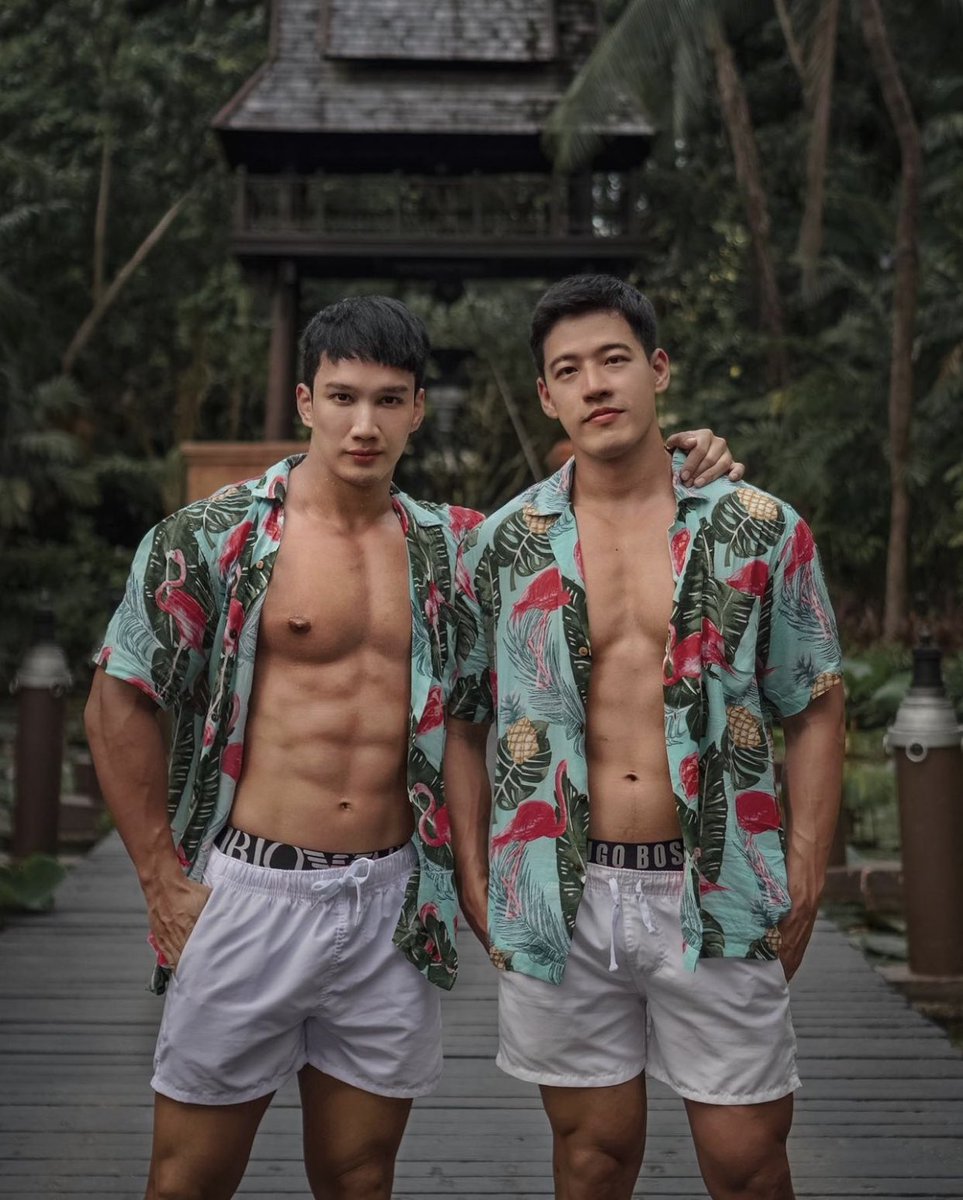 FOREST ALBUM 🏳️🌈 tweet media