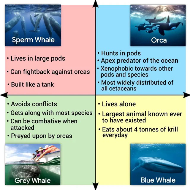 BestofPCM's tweet image. Whales on Political Compass
