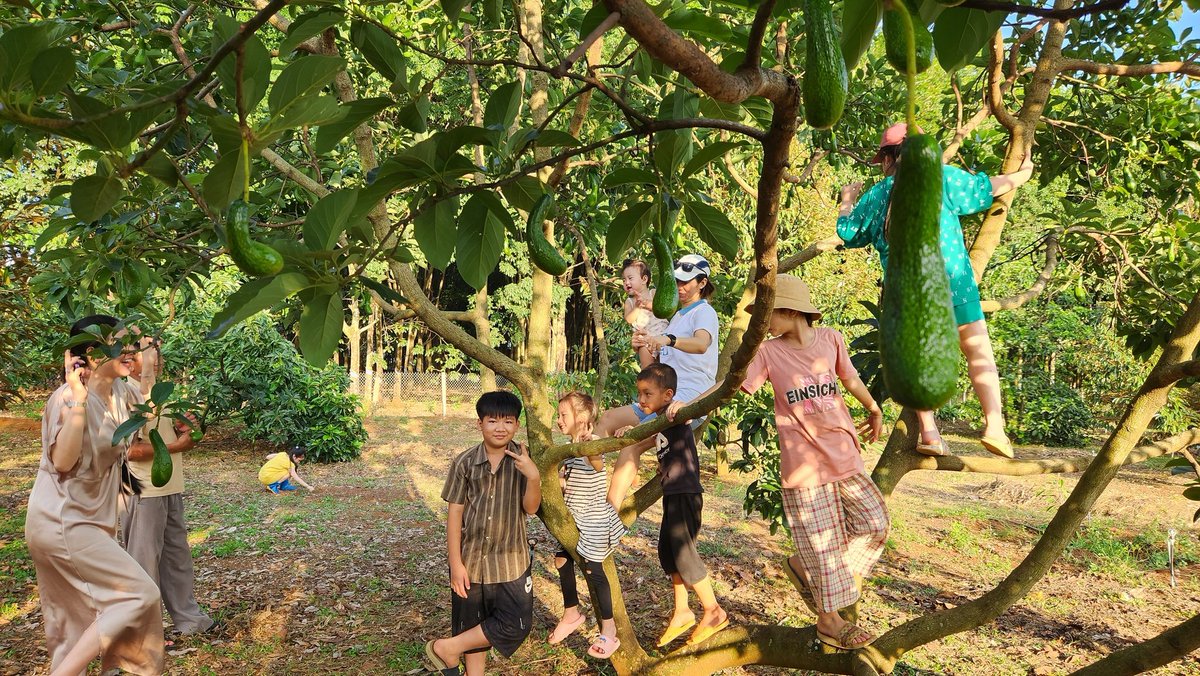 joquynh's tweet photo. 30.4.2023 https://t.co/9ATE2oSqdO