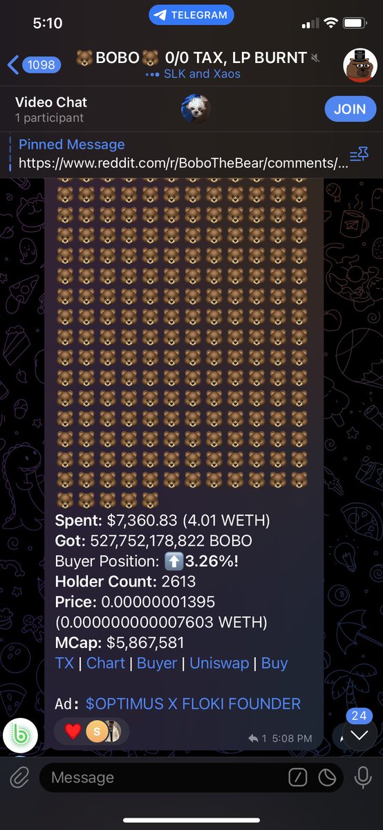 🐻BOBO🐻 tweet media