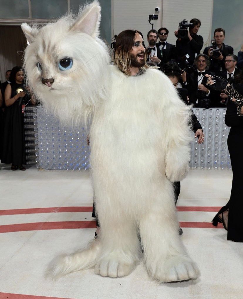 Met Gala 2023 tweet media