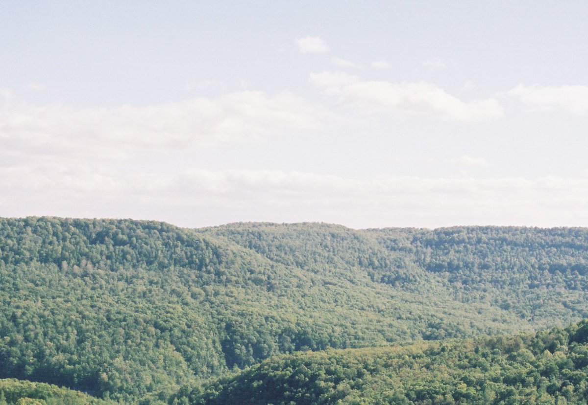 JimmerFilm's tweet photo. Spring in Arkansas⛰️ https://t.co/H0opDlXATI