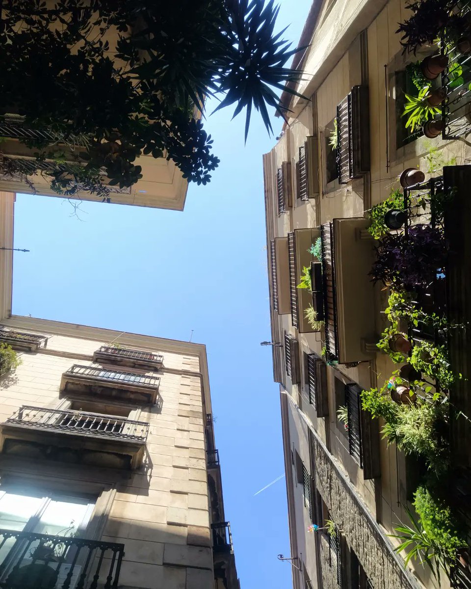 Barrio gótico
#bcn
#barcelona #barriogoticobarcelona #barrigotic #barriogotico #arquitectura #architecture #up #vacaciones #findesemana #paseando #domingo #sunday #sky #cielos