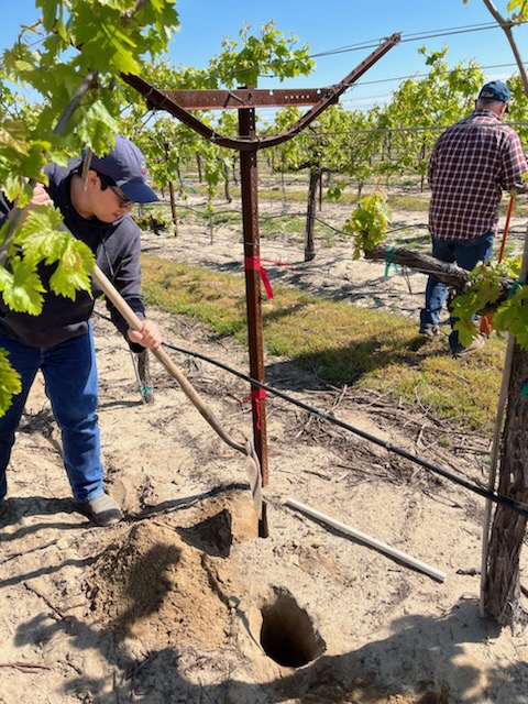 SoiltechW's tweet photo. The Soiltech Beacon is taking root in fields all over the U.S.! Can you guess which state these photos were taken in? #agtech #soiltech #plant23 https://t.co/KeM06aWHO2