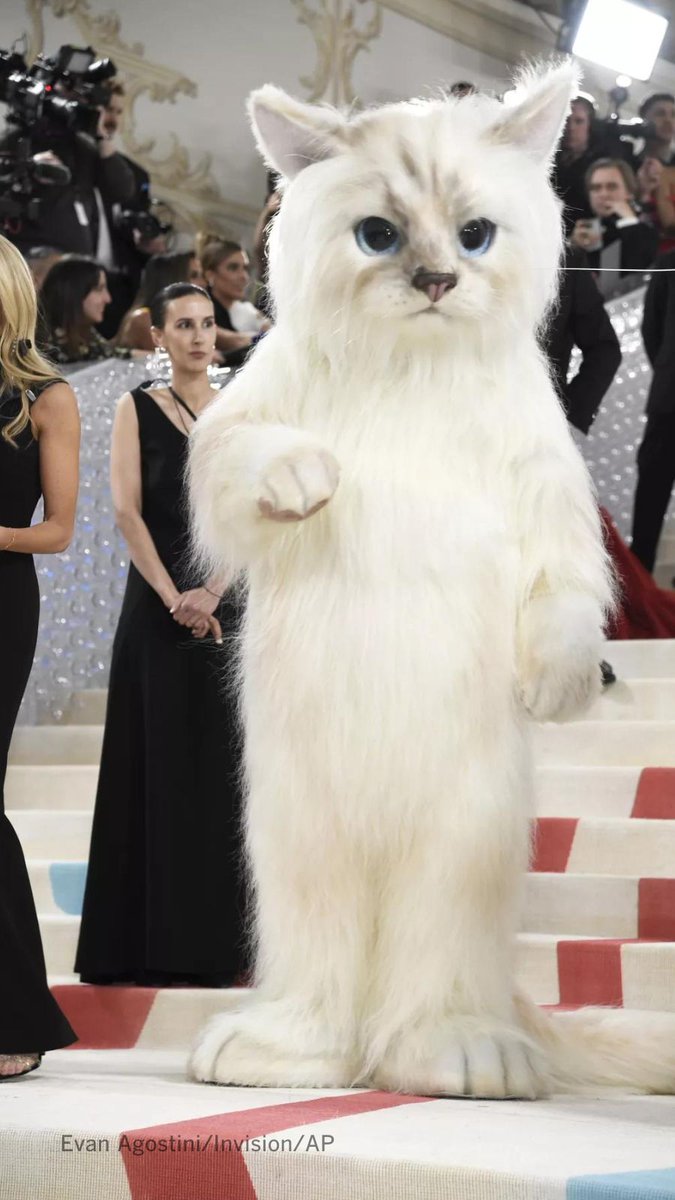 Los Angeles Times tweet media