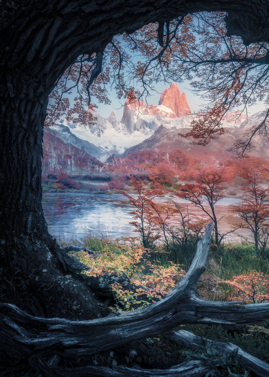 FranWoloch's tweet photo. Hi,
 I just came to share this photo I've took this autumn.
 Hope you've been doing great. https://t.co/4eOFNc9ORM