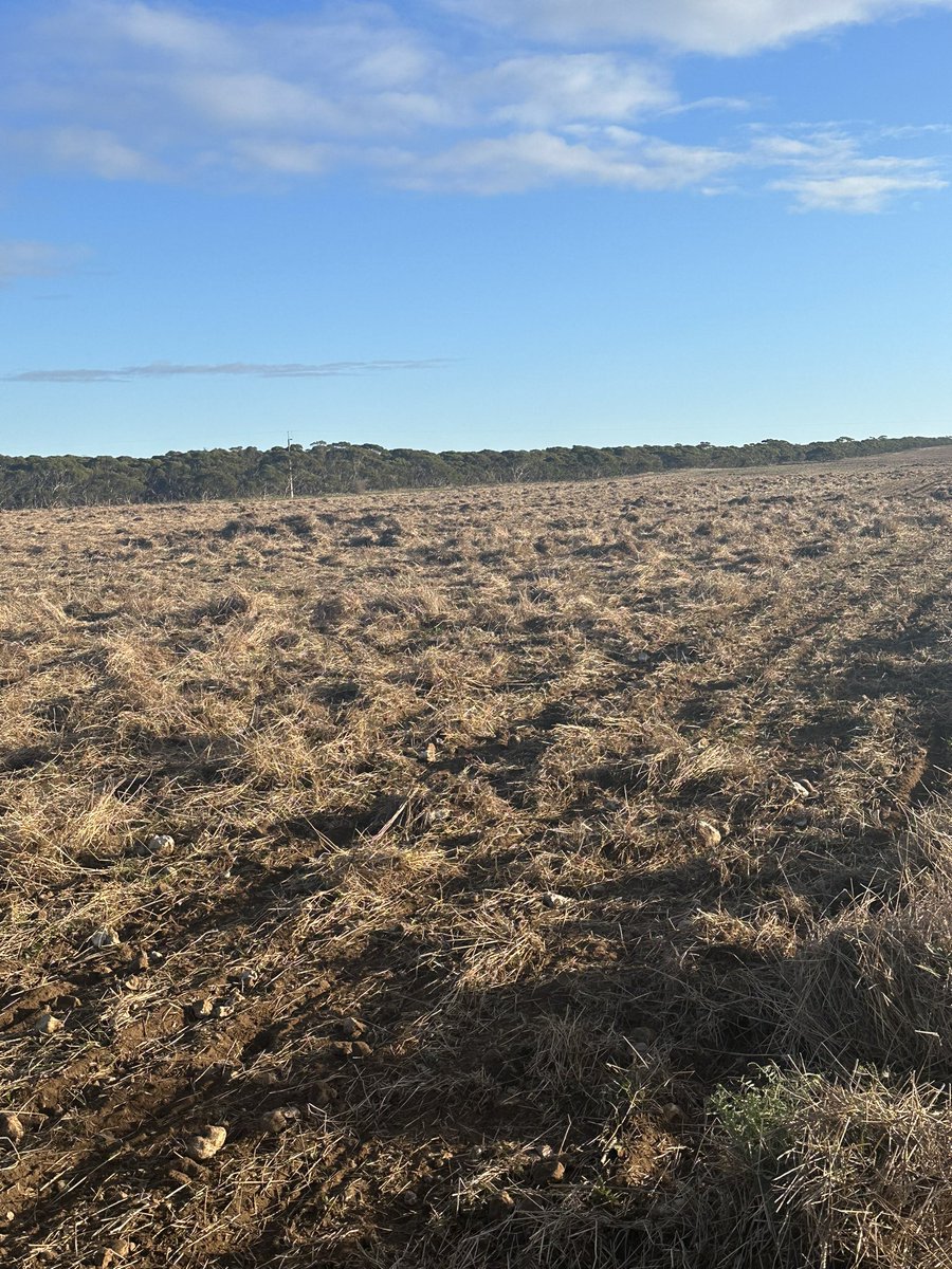 Sam Venning tweet media