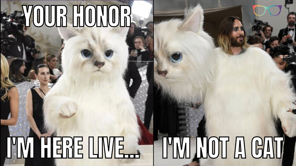TheEmilyDBaker's tweet photo. I know I am not the only one who sees Lawyer Cat....
@JudgeFergusonTX I think you inspired this Met Gala look... https://t.co/CvnltHmMS5