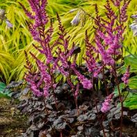 Mother Nature is co-operating... so, guess what?🌸 - mailchi.mp/0054b65f986c/m…