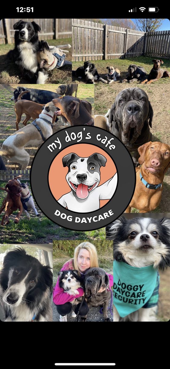 My Dog's Daycare 🇨🇦 tweet media