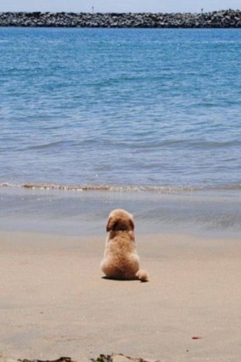 twaniimals's tweet photo. https://t.co/8Nk2lPpLkl