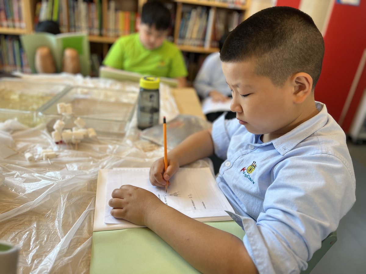 Join the Kingston family and give your child the gift of bilingualism. Discover the benefits of being fluent in two languages at kingston.edu.hk.