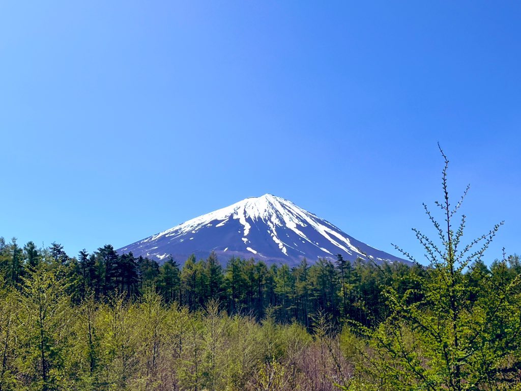 A_Cris_Merino's tweet photo. Not a cloud in the sky, just beautiful Mt Fuji ❤️ 🏔️ #Japan #Yamanashi #GoldenWeek2023 https://t.co/8sCSjbnxWC