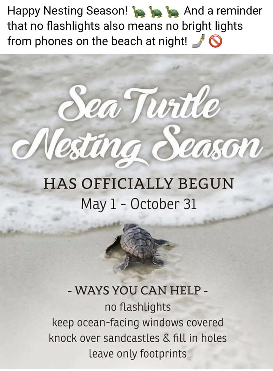 SayItOnAshell's tweet image. 