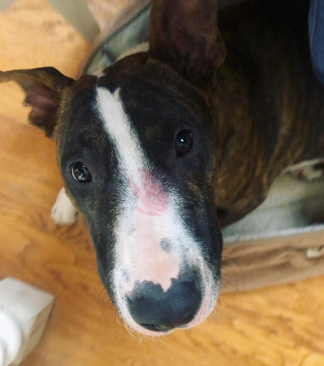 Sometimes I can’t believe I get to be these two’s mama 📷 showering them with love and kisses is my favorite thing to do! Seriously... how cute are these two?! 📷