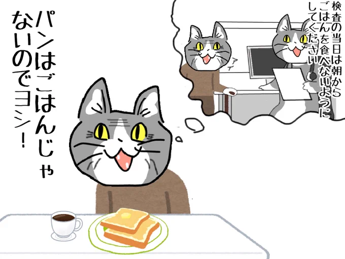 #現場猫 #看護師 これで入院準備パァです( ᐛ👐)