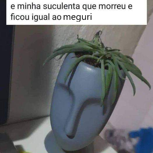gui66s's tweet photo. @petrickaay @brasilsouthpar @legnaism https://t.co/nmrvRy8TfL