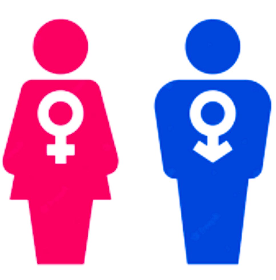 DANTE_eloficial's tweet photo. Sondeo Tuitero 

Cree usted que sólo existen dos sexos: hombre y mujer?

SÍ: 🔄
NO: ♥️ https://t.co/36ZulC3nIT
