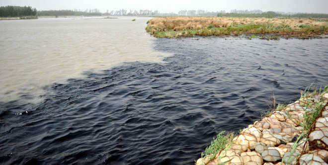 AnilJha58772137's tweet photo. Sadly, the highly polluted waters of the Sutlej river are used irrigation and drinking in Punjab and beyond.
#StopPollutingPunjabsWaters
#FreedomFromPollution
#ZiraSanjhaMorcha https://t.co/K7gnfyluGA