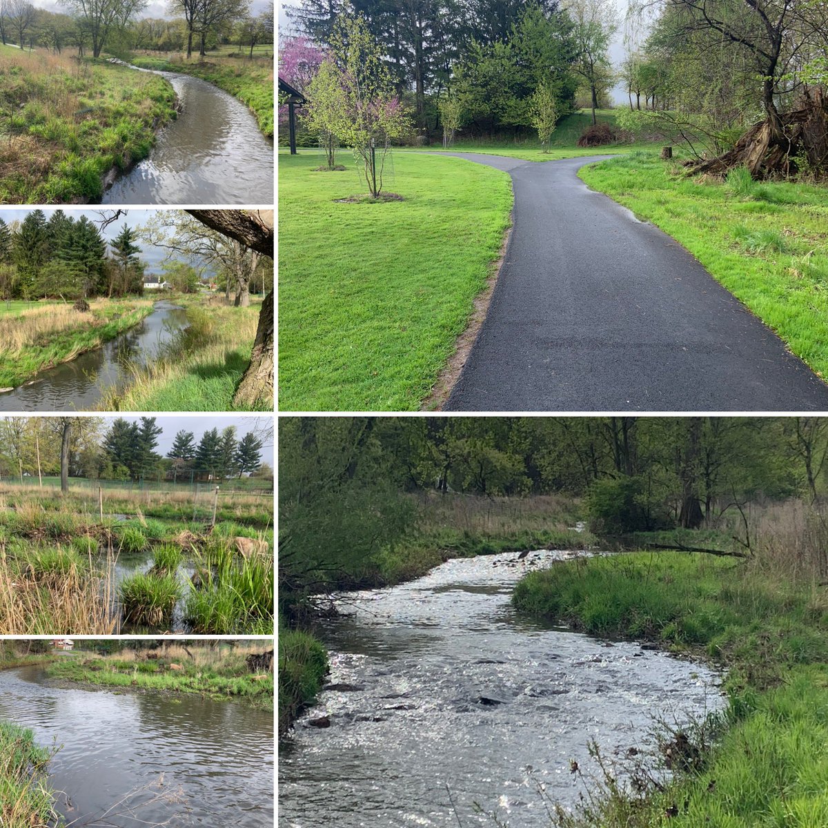 west_creek's tweet photo. Wow is @OhioBrooklyn Memorial Park looking awesome / spring check on #StickneyCreek restoration - floodplain doing what it does, stream corridor holding & growing in! Additional applause to the City for rebuilding the trails to and thru #vision #ProtectRestoreConnect https://t.co/cLIzC8RiN0