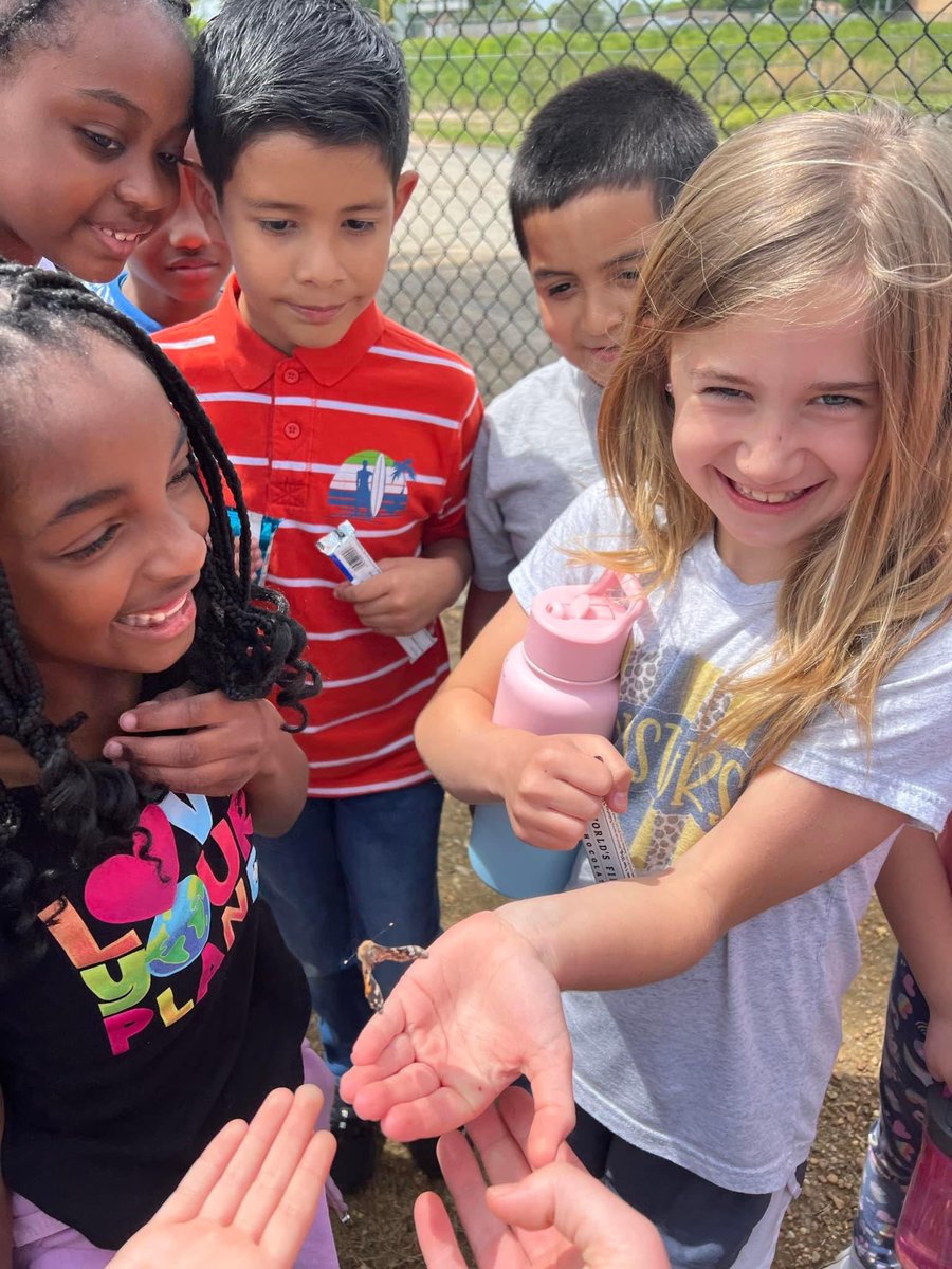 ChickasawElem's tweet photo. Mrs. Howard’s class celebrated learning about life cycles by releasing their butterflies. 🦋 
#ChickasawChampions #OBPride #TeamDCS https://t.co/j465qZW9iZ