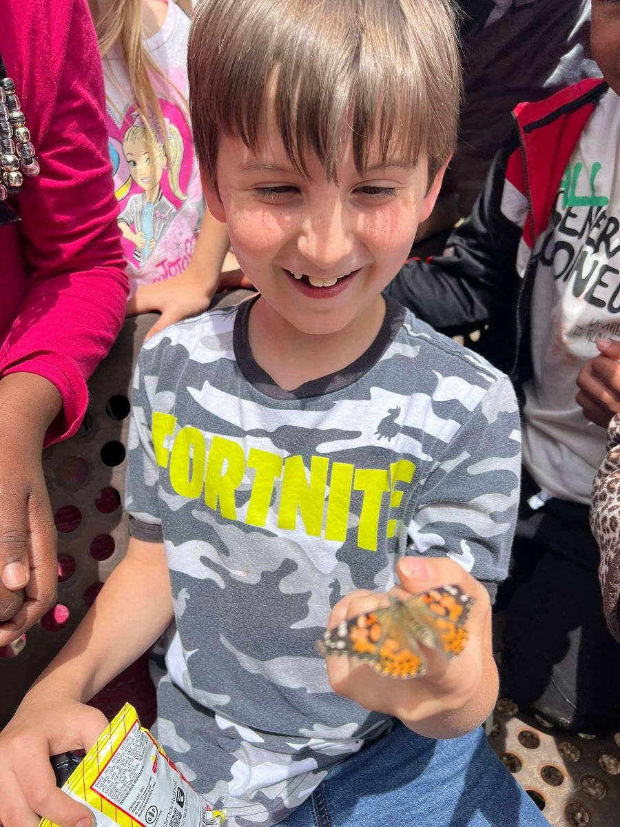 ChickasawElem's tweet photo. Mrs. Howard’s class celebrated learning about life cycles by releasing their butterflies. 🦋 
#ChickasawChampions #OBPride #TeamDCS https://t.co/j465qZW9iZ