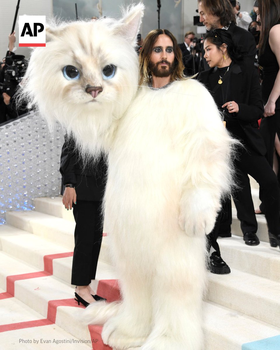 AP's tweet photo. Jared Leto didn't just channel the spirit of Choupette, Karl Lagerfeld's beloved cat and muse, at the #MetGala — he came dressed as Choupette. https://t.co/LMneaVrO6P https://t.co/v1T7G0SjVS