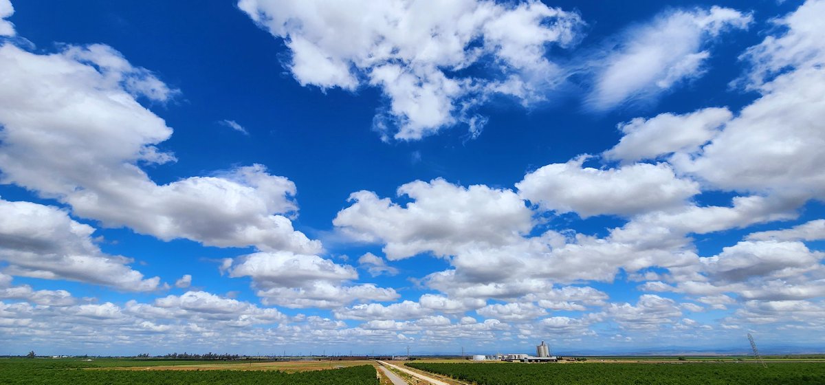 andyjump1118's tweet photo. #cumuluscloudfield this afternoon as low pressure migrates southbound along #California. @NWSHanford @StormHour @niknakaroni @CloudAppSoc @cloudymamma @ThePhotoHour @ACloudReporter #CAwx #wxspotter #cumulus #humilis #mediocris #radiatus #clouds #cloudspotting #cloudporn https://t.co/lBvm53INQH