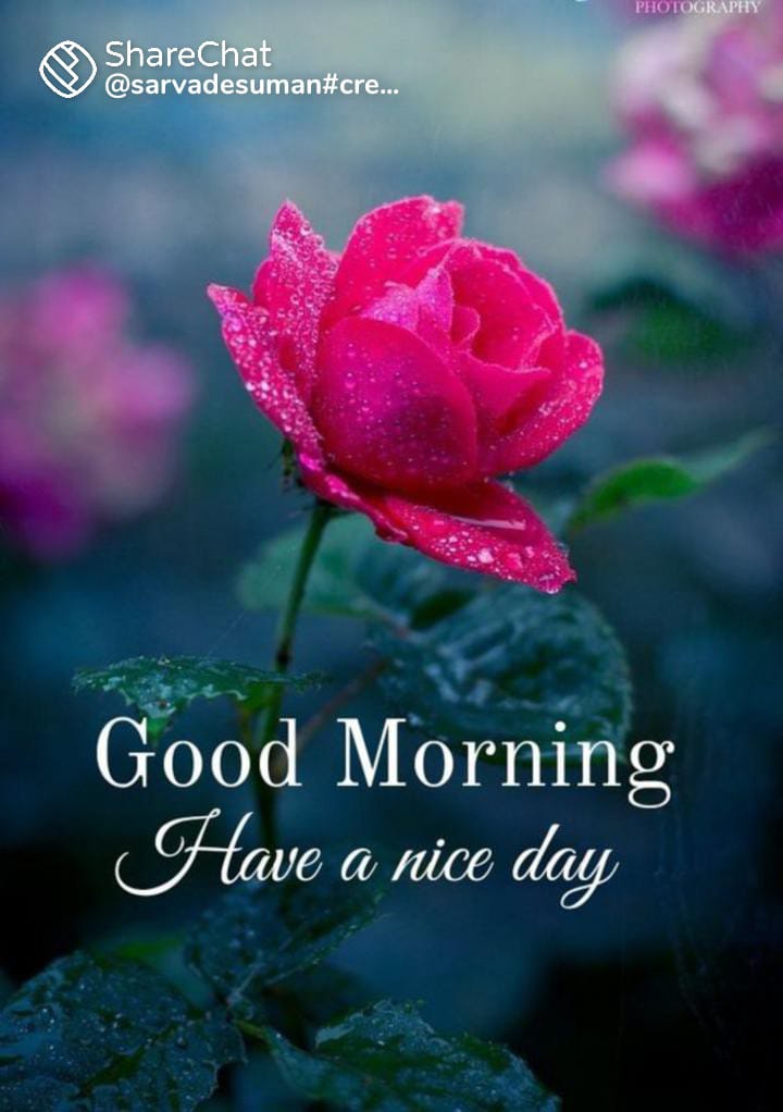 ShankarWasmani's tweet photo. @katlinelizabeth https://t.co/XOeug0U4ZQ