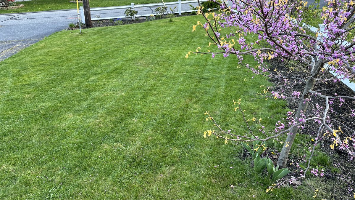 windoverphotos's tweet photo. True story:  Everyone on my street mowed their lawns today.  ⁦@ericfisher⁩ ⁦@tjdelsanto⁩ ⁦@jreineron7⁩ ⁦@4cast4you⁩ https://t.co/R600TXtyga