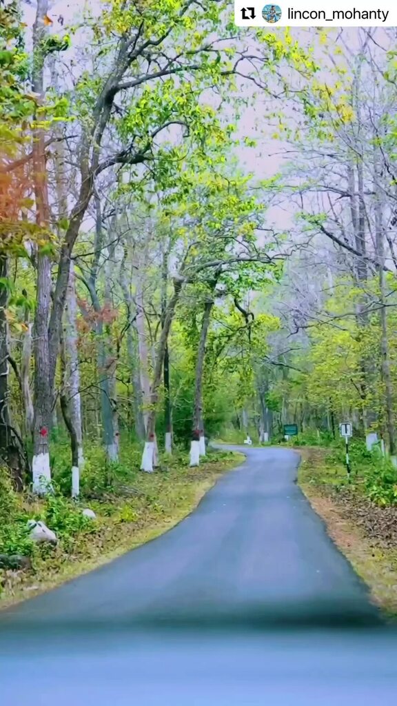 BBSRBuzz's tweet image. #bhubaneswarbuzz #tikarpada video by #Repost @lincon_mohanty 
・・・
Tikarpada Crocodile Sanctuary, Odisha

#instareels #odisha #tikarapada #odishatourism #explorepage #odishareels #odishagram instagr.am/reel/CruMiFpO0…