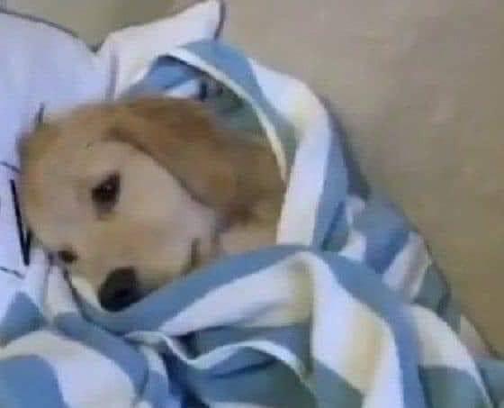Guarromantico_'s tweet photo. Yo viendo como se termina el puente. https://t.co/S1ZoaH4ZAD