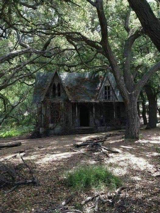 Jae Margal tweet media