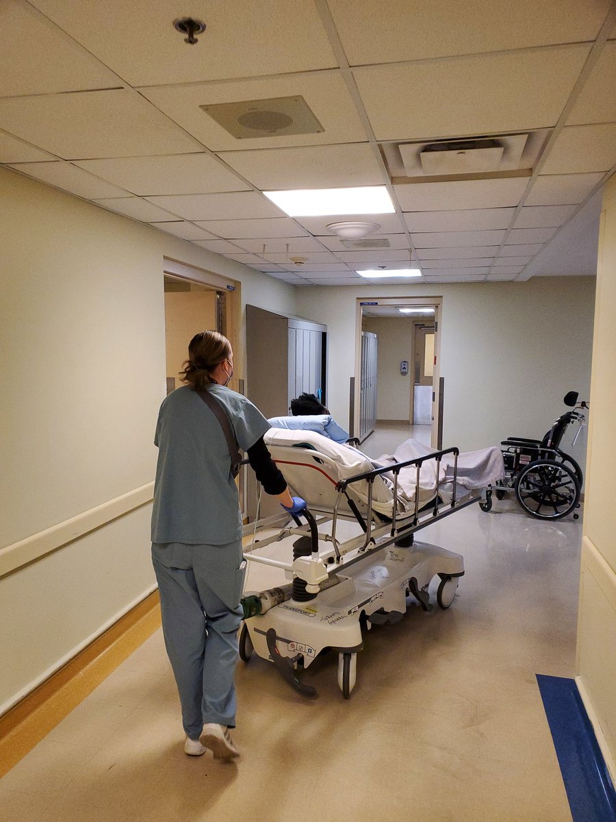 ProjectsearchTo's tweet photo. A big first for Project SEARCH Toronto and this student, who is currently in the portering role at Toronto General Hospital! So much progress in 4 weeks time πππ
#ProjectSEARCHTO #DiversityAndInclusion #InclusionMatters https://t.co/zLBiBi16WZ