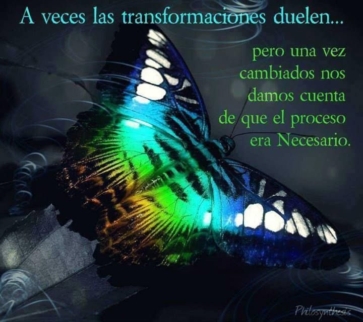 Elizabeth Maya Cano tweet media