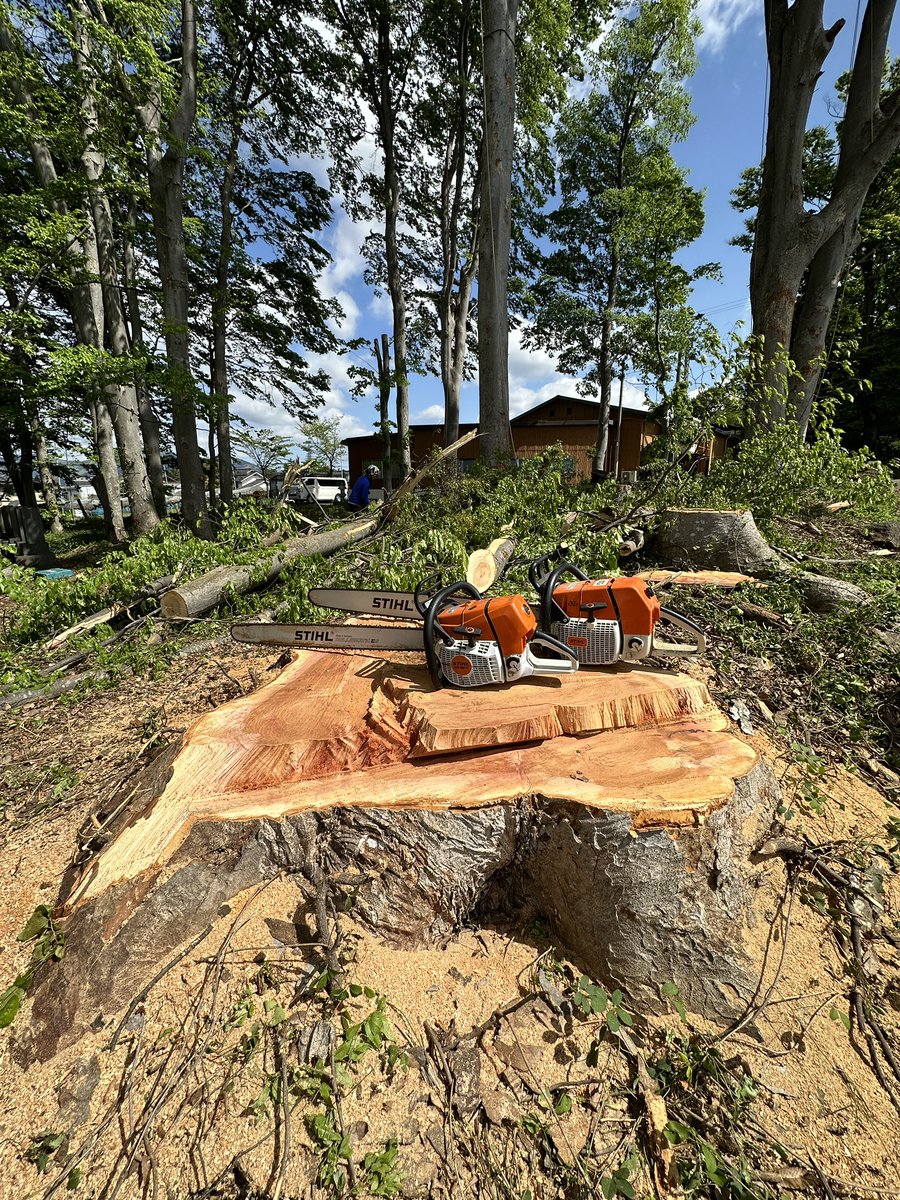 koyamarinsan's tweet photo. 欅重くて重機で持ち上がらない!
夕方ユニックで来ようかな。
#stihl #ms880 #ms661c
#株式会社小山林産 https://t.co/pwtpPGoVri