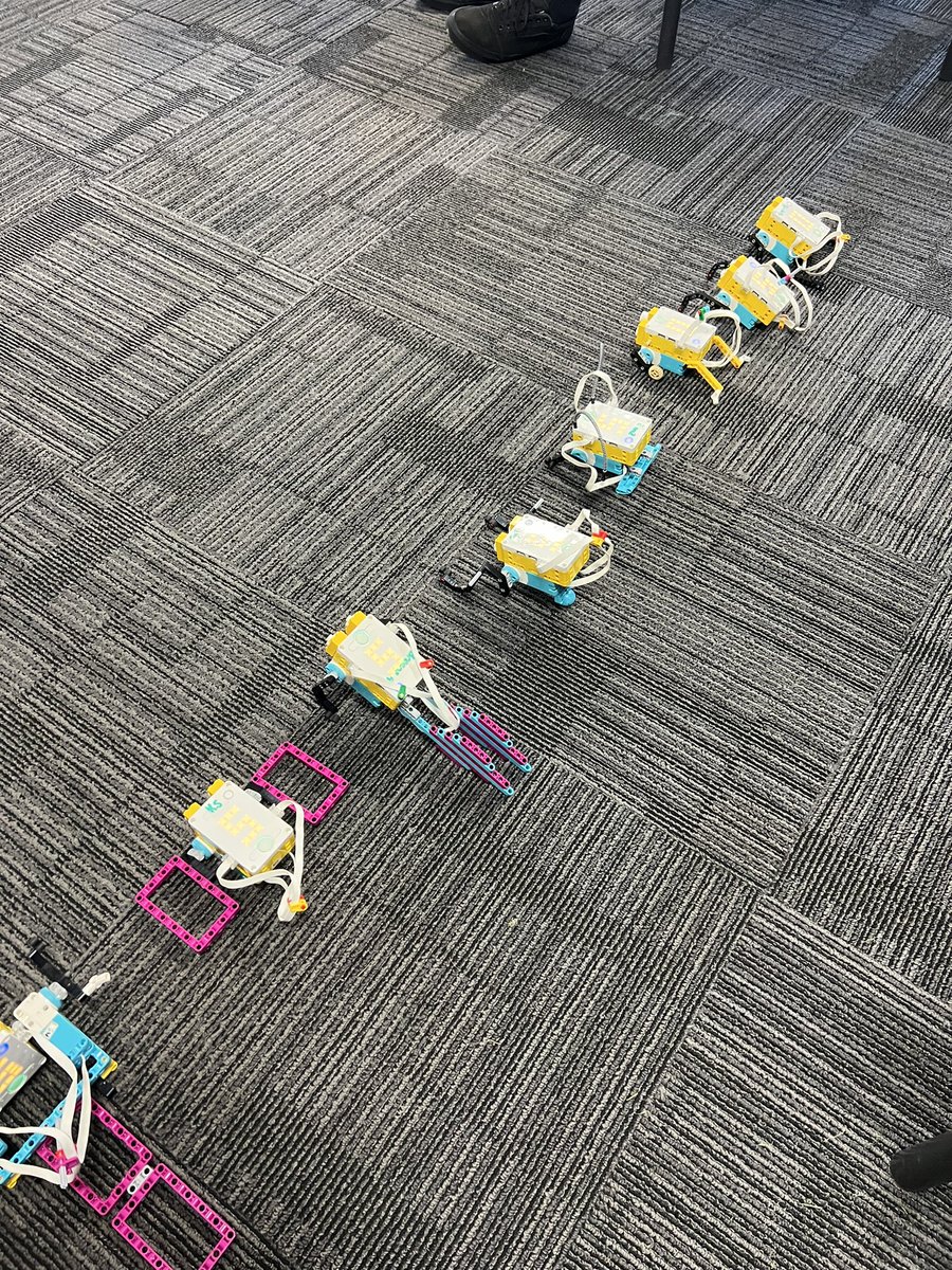 Kylie Stanley 🌱 tweet media