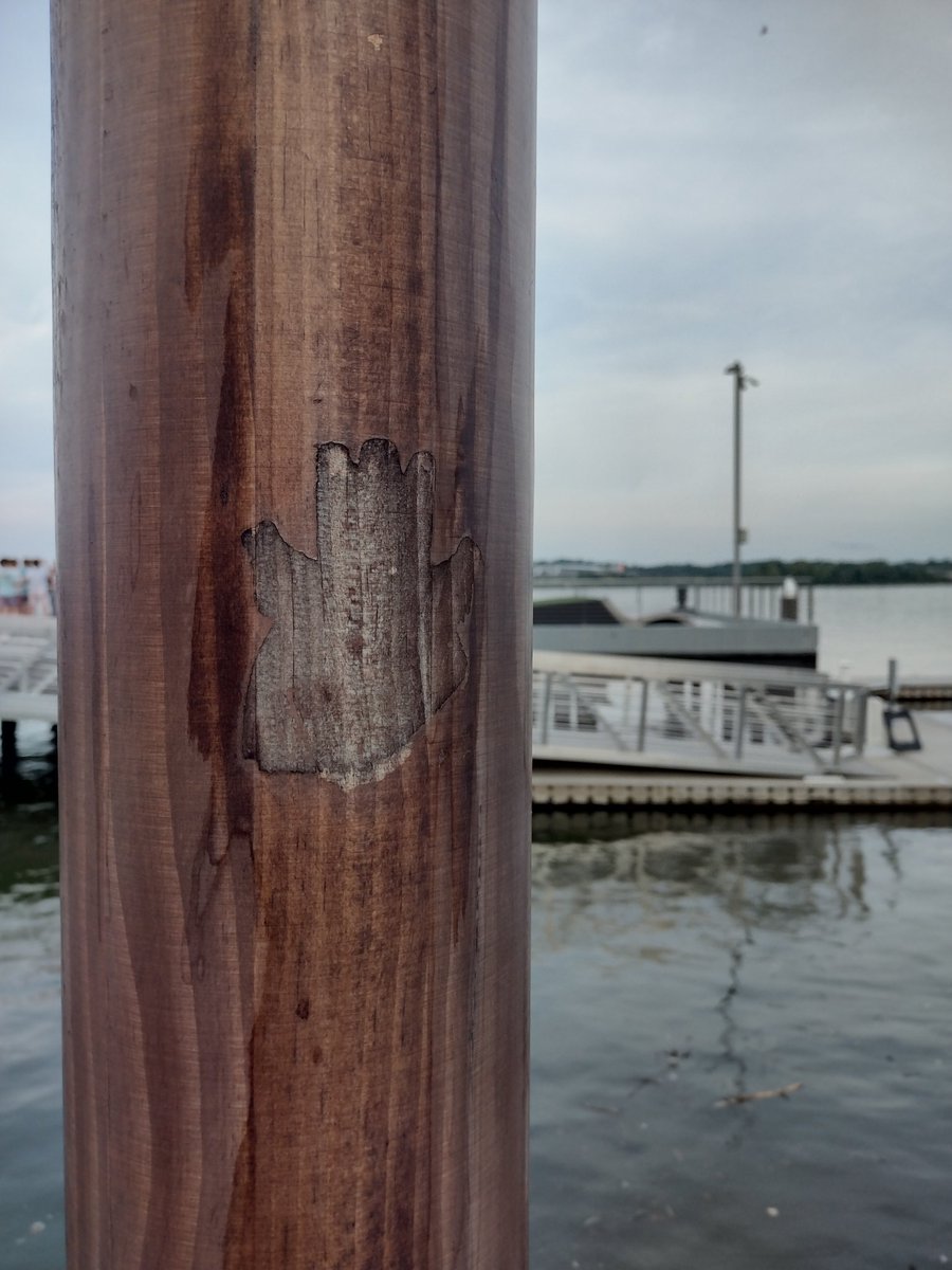 Don_Giov's tweet photo. Tribe.
Here lies the Ghost Of Fatcap Fanatics Tribe Royal, a.k.a Fluxzier.
Although gone, his Spirit will forever be with the people of Alexandria VA ππ
It's time to call upon my inner Vandal and #StickEmUp again , LFG !
@FLUXTRIBE420 #FatcapFanatics https://t.co/AoWo3xDPMC