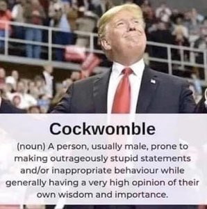 realTuckFrumper's tweet photo. Is Donald Trump a Cockwomble? https://t.co/J7exXDUW0l