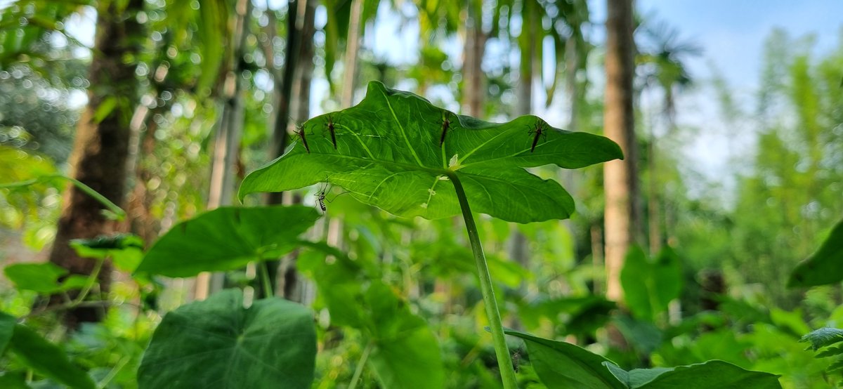 Moududhasan2's tweet photo. ফ্রী হলে মানুষ কত কিছু করে। https://t.co/N00I2Bzc3u