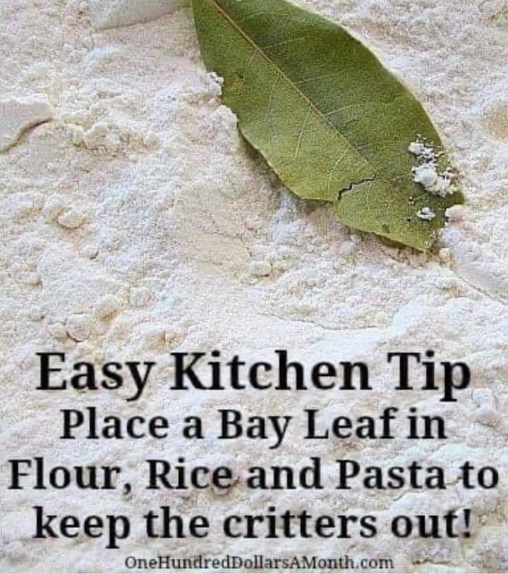 📌Easy Kitchen Tip: 
Place a Bay Leaf 🌿 in
Flour, Rice and Pasta to keep the critters out! 
#DIY #KitchenHack #KitchenTip #NaturalHack #NaturalPestControl