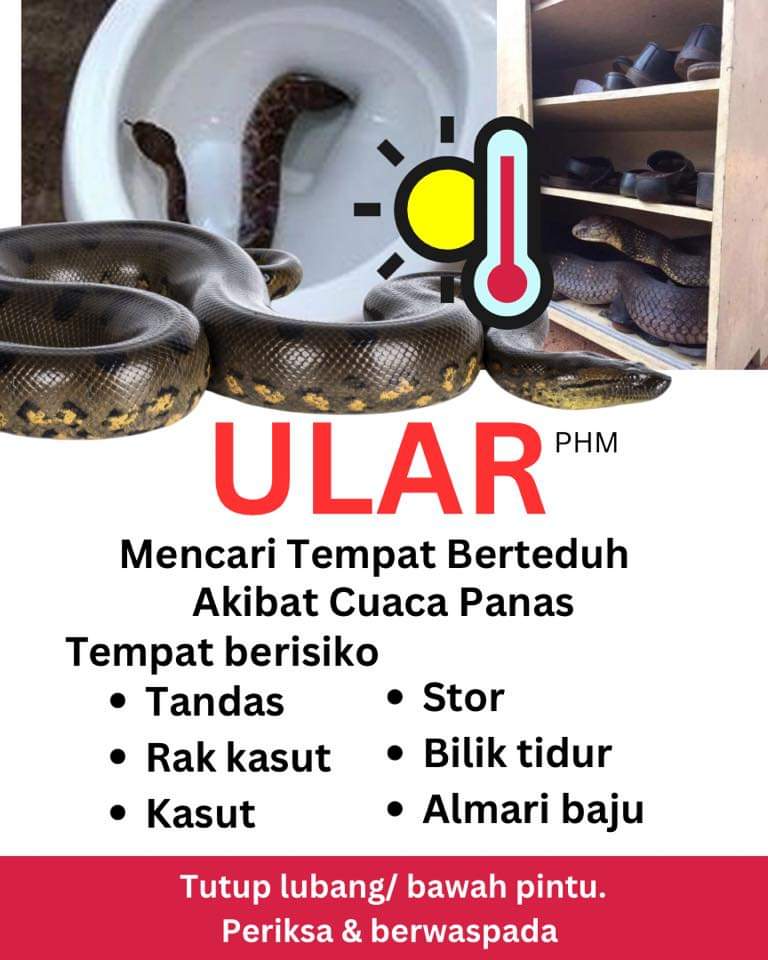 JaPenWPKL's tweet photo. 🐍WASPADA‼️Cuaca panas ketika ini mengundang ular untuk keluar mencari tempat berteduh.
#ular
#panas
#panasterik
#cuacapanas
#KLCeria
#CMSWPKL https://t.co/oeMZyYmm7h