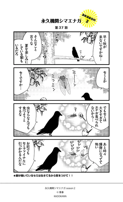 ✨GW特別企画✨
🌸永久機関シマエナガシーズン2傑作選🌸

ひとの食性を笑うな

#永久機関シマエナガ 