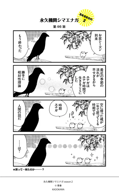 ✨GW特別企画✨
🌸永久機関シマエナガシーズン2傑作選🌸

カカポさんのコト

#永久機関シマエナガ 
