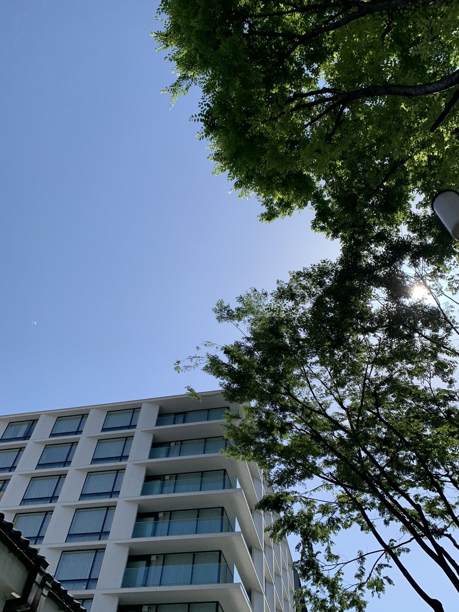 RisingKyoto's tweet photo. おはようございます✨
京都はお天気良き良き☀️
ブラウザ版からログアウトの不具合発生してるということですが、みなさん大丈夫ですか？#強制ログアウト 
今日も頑張っていきまっしょう🫠
#京都 #企業公式が毎日地元の天気を言い合う #はれ https://t.co/kSO2Nk8P7r